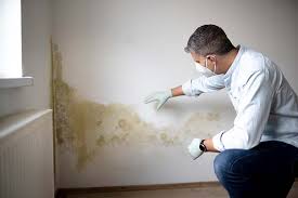 Best Post-Construction Mold Inspection  in Newberry, SC